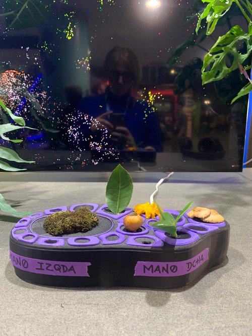 WhatsApp+Image+2024-11-10+at+20.02.19+(6)