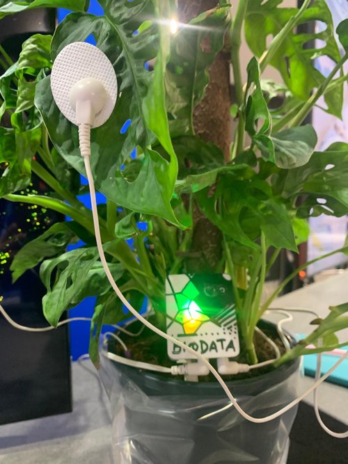 WhatsApp+Image+2024-11-10+at+20.02.19+(7)