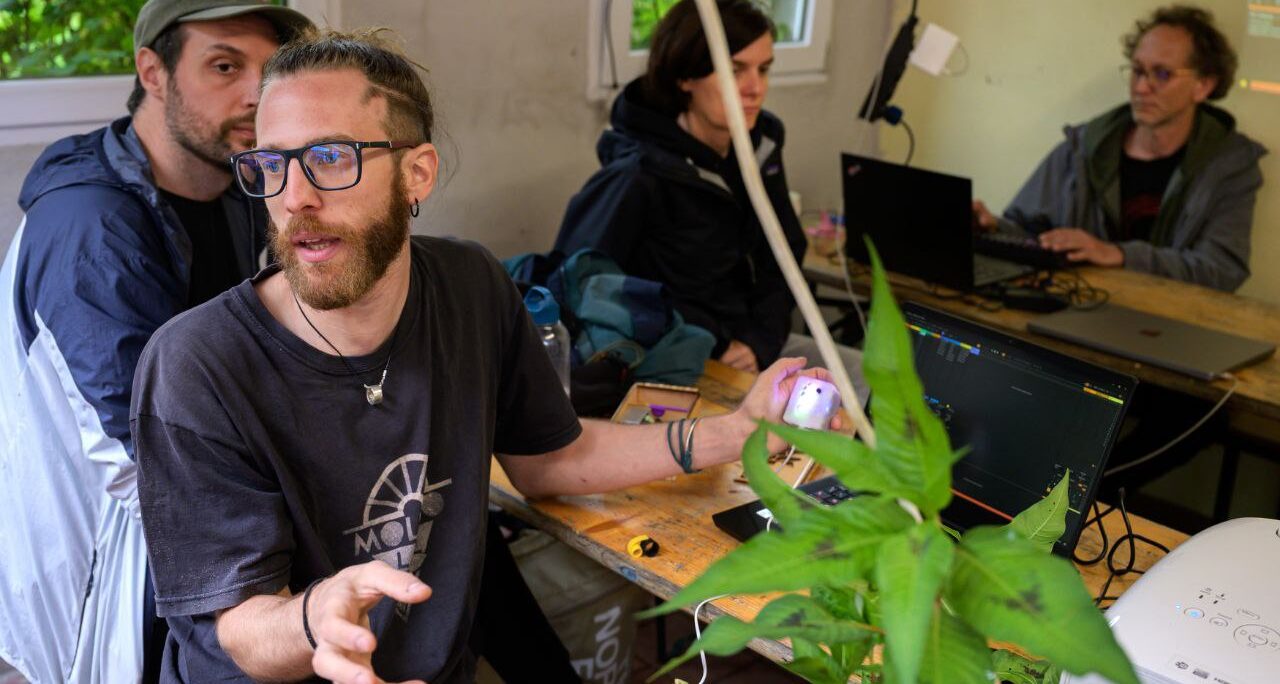 Sinfonía Biótica en PIF Camp 2025