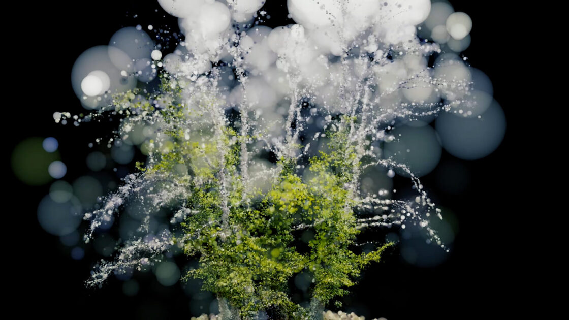 Sinfonía Biótica: interspecies creative ecosystems