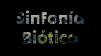 Sinfonía Biótica: creative interespecie ecosystems